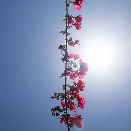 Aroma Argostoli (Kefalonia)
