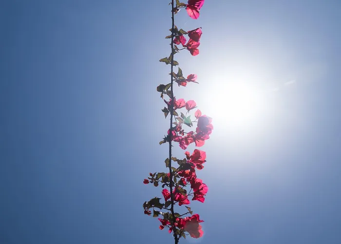 Aroma Argostoli (Kefalonia)